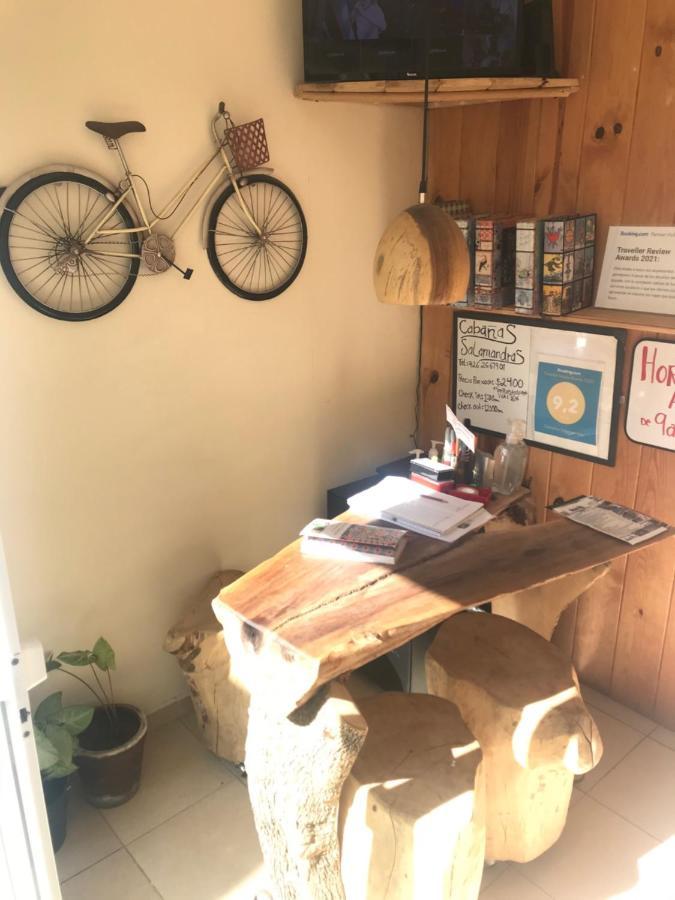 Cabanas Salamandras Avandaro Valle de Bravo Εξωτερικό φωτογραφία